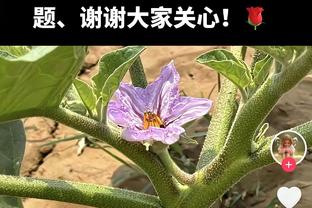 萨拉赫本场对阵林茨数据：1进球+4次长传均成功，评分7.5